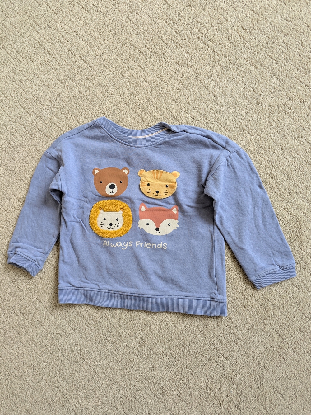 H&M Kids Sweatshirt 4T Blue Pullover Lift The Flap Applique Animal Fox Bear Lion